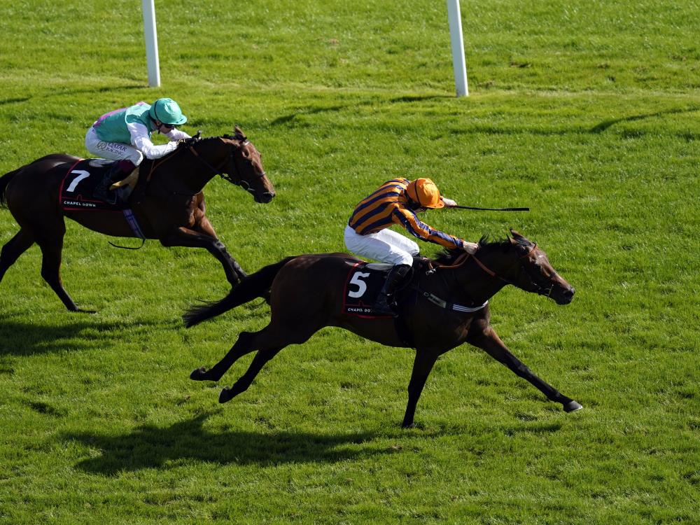 Teal encouraged by Dancing Gemini's Ascot effort