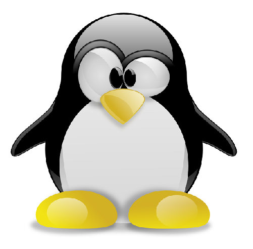 Monter un partage CIFS sous Linux | Commandes et Système