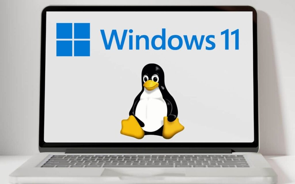 Windows 11 Linux